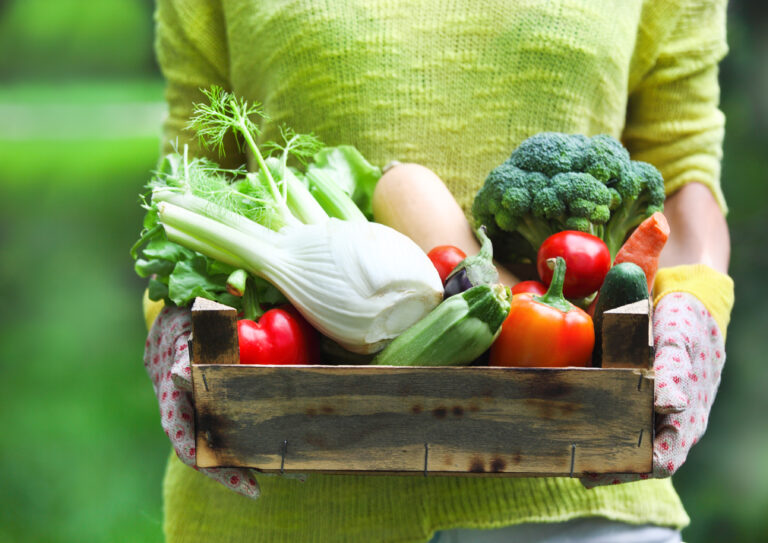 alimentacion vegetal carla zaplana come limpio vegano